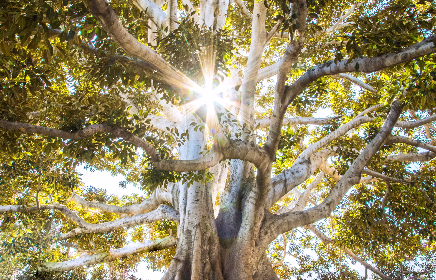 Самоподдержка для основателя